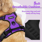 rabbitgoo Dog Harness, No Pull for Small Dogs with 2 Leash Clips, Pet Vest | No Choke with Handle, Adjustable Soft Padded, Reflective, Easy Control for Walking, Purple, Small