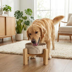 hjn Elevated Ceramic Dog Bowl with Bamboo Stand, Raised Pet Feeding Station for Small Medium Dogs Cats, Modern Design with Anti-Slip Base (Marble Brown, 7.6Cup)