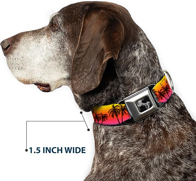 Dog Collar Seatbelt Buckle Palm Trees Sunset Fade Black 13 to 18 Inches 1.5 Inch Wide | Palm Trees Sunset Fade Black Durable Metal Adjustable ID Tag Ring