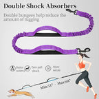 iYoShop Hands Free Dog Leash with Zipper Pouch, Dual Padded Handles and Durable Bungee for Walking, Jogging and Running Your Dog (Large, 25-120 lbs, Purple)