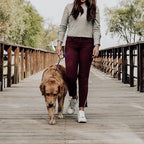 Mile High Life Short Dog Leash with Genuine Leather Connection | Rope Leash, Heavy Duty 360° Swivel Metal Clasp, for Small Medium & Large Dogs (Blue, 48 Inch)