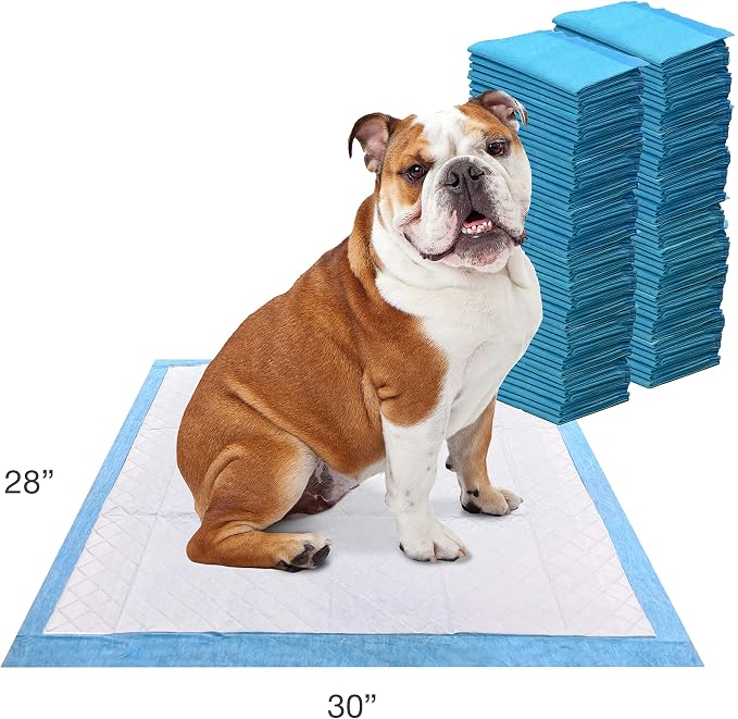 Four Paws Wee-Wee Odor Control Dog Pee Pads with Febreze Freshness
