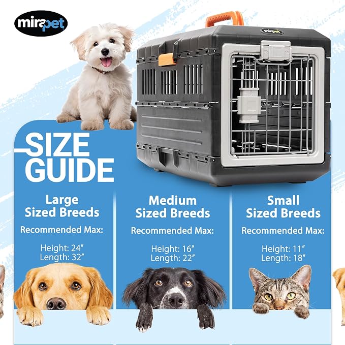 Pet Carrier & Crate, 21.5"L x 12"W x 14"H - Collapsible for Small Cats and Dogs, Portable Hard Plastic Wall Kennel for Indoor/Outdoor Use