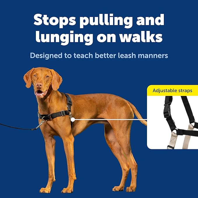 PetSafe Easy Walk Harness for Dogs - Pull-Free Walks - Patented Martingale Loop Design - Front Chest Leash Attachment - Comfort Straps - Breathable Harness Design - Medium, Black/Silver