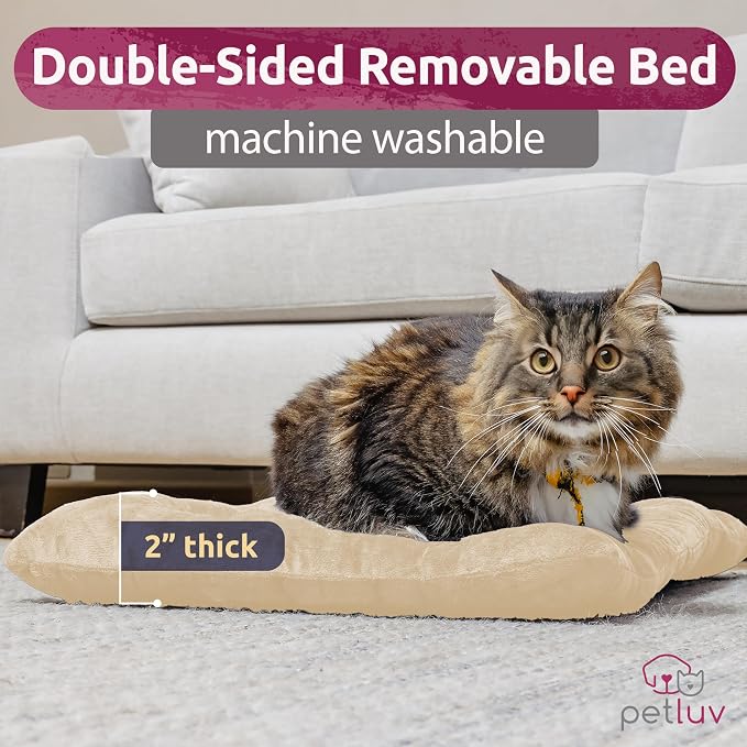 Cat & Dog Pet Carrier, Soft-Sided, Large 24"x16"x16", Fits Large Cat, 2 Cats, or Medium Dog Comfortably, Great for Travel & Vet Visits, Privacy Windows, Removable Bed, Locking Zippers, Foldable