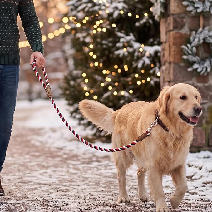 Mile High Life Rainbow Dog Leash Braided Cotton Rope w Leather-Wrapped Ends | Rust-proof 360° swivel clasp, Heavy-duty for medium/large breeds. Great for weddings, daily walks (6FT, 1/2", Red/Green)