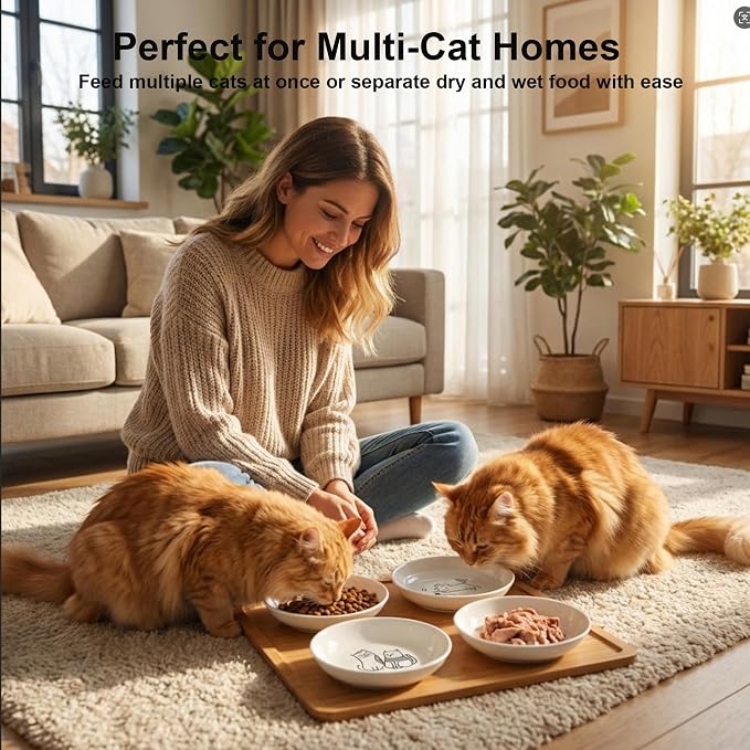 Non-Slip Cat Food Bowls, 6 Pack Whisker-Friendly Ceramic Bowls | 5.6-Inch Wide Shallow Bowl, Silicone Base, Food-Safe Ceramic, Dishwasher & Microwave Safe, Easy Clean