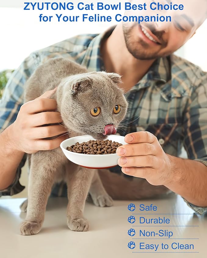 Ceramic Cat Bowl Whisker Friendly, Non-Slip Cat Food Bowls 3-Pack | Whisker Fatigue Cat Dishes, Shallow Wide Cat Plate, Lead-Free, Silicone Base, Microwave Dishwasher Safe, Wet Dry Food Water