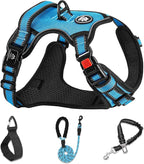 NESTROAD No Pull Dog Vest Harness with Leash, Adjustable Reflective Oxford Pet Harness with Easy Control Handle for Small Dogs, Blue
