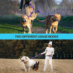 PetBonus Double Dog Leash, No Tangle Dual Leash, Reflective Walking Training Lead, 4 Comfortable Padded Handles for 2 Dogs with Collapsible Bowl and Waste Bags (Purple, Large) | 4 Comfortable Padded Handles, Adjustable, Reflective, For Two Large Medium...