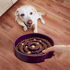 Ceramic Slow Feeder Dog Bowl,1.5 Cups Pet Slow Feeder for Small and Medium Breed,Puzzle Dog Food Dish,Anti-Gulping,Stop Bloat,Preventing Choking(Purple)