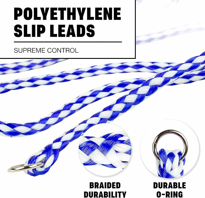 Downtown Pet Supply Braided Poly Slip Lead Dog Leash, 24 Pack, 5' Long - Universal Dog Slip Leash with Metal O Ring - Great for Groomers, Shelters, Rescues, Vets, or Doggy Daycares