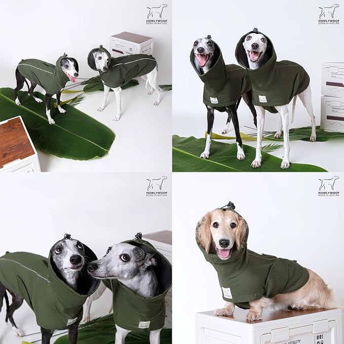 Waterproof Dog Raincoat, Hooded Raincoat for Dachshund Whippet Small Medium Large Dogs, Adjustable Dog Rain Coat Jacket (02 (Dachshund 10-16lbs))