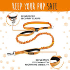 Mighty Paw Hands Free Dog Leash | Bungee Waist Leash for Dog Walking. Pet Running Hands Free Tether for Large, Medium & Small Breeds. Pet Waist Belt (36" - 48") Up to 150 lbs - Orange