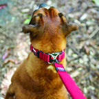EzyDog Double Up Dog Collar, Strong Double D-Rings - Medium, Purple | Dual D-Rings for Superior Strength, Safety, and Comfort, Soft Touch Nylon Webbing, Reflective Stitching, Id Attachement Point