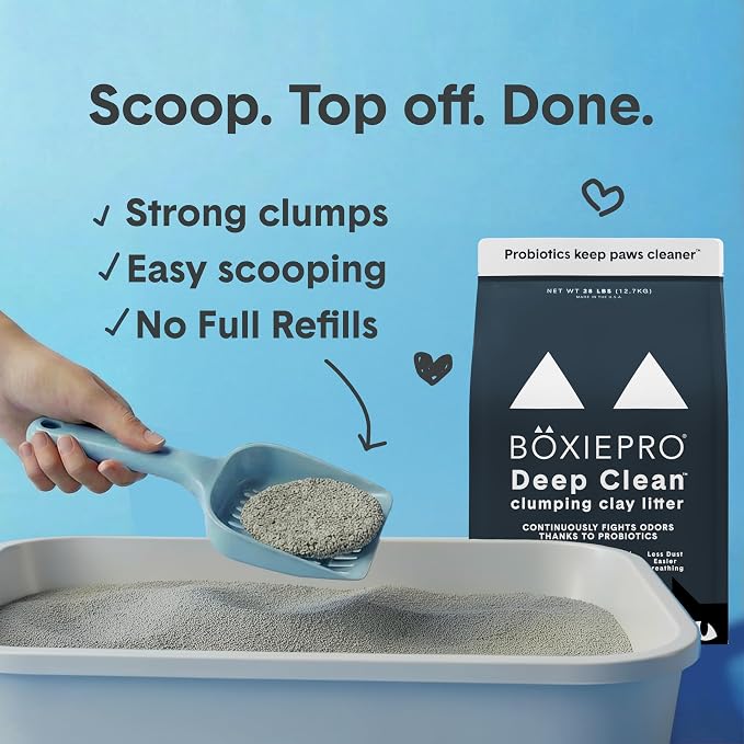 Boxie Probiotic Clumping Cat Litter 40+ Day Odor Control Dust Free 16 lb