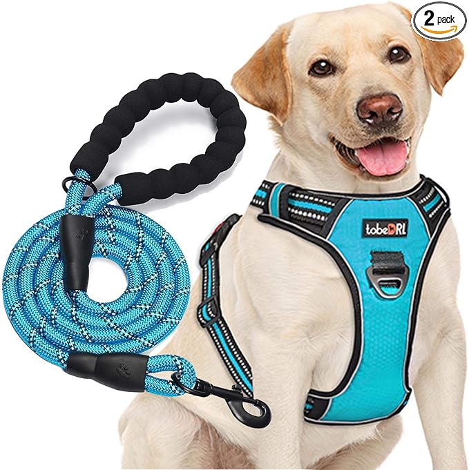 tobeDRI No Pull Dog Harness Adjustable Reflective Oxford Easy Control Medium Large Dog Harness with A Free Heavy Duty 5ft Dog Leash, Blue, S