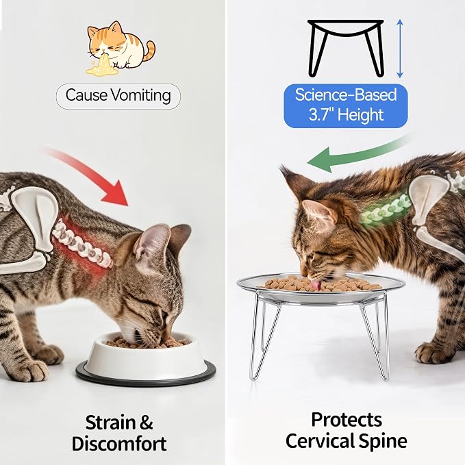 WROSWT Elevated Cat Bowls, 304 Stainless Steel Raised Cat Dishes, Extra Wide Shallow Cat Bowl for Whisker Fatigue Relief & Flat-Faced Breeds, Anti-Vomiting Kitten Feeder with Detachable Stands, 2 Set