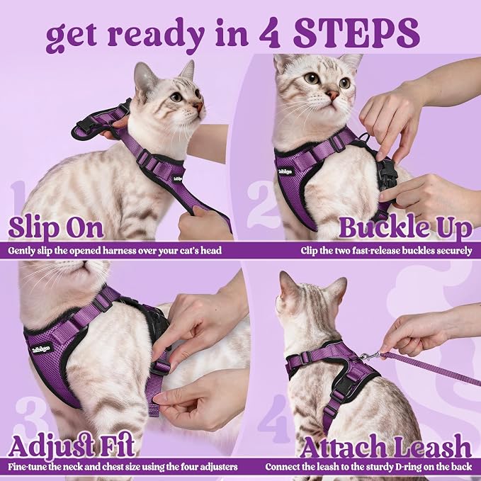 rabbitgoo Cat Harness and Leash Set, Escape Proof Vest, Purple | Soft Breathable Mesh, Easy Adjustable Fit, Snap Buckles, Sturdy Clip, Reflective Strips, for Small & Average Cats Walks, Xs