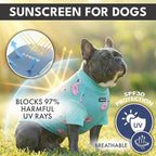Spark Paws Sunblock Dog T-Shirt, SPF30 Protection, Lightweight Breathable Quick Dry for Dogs with Sensitive Skin - Bees & Flamingo (Set of 2) - Size L