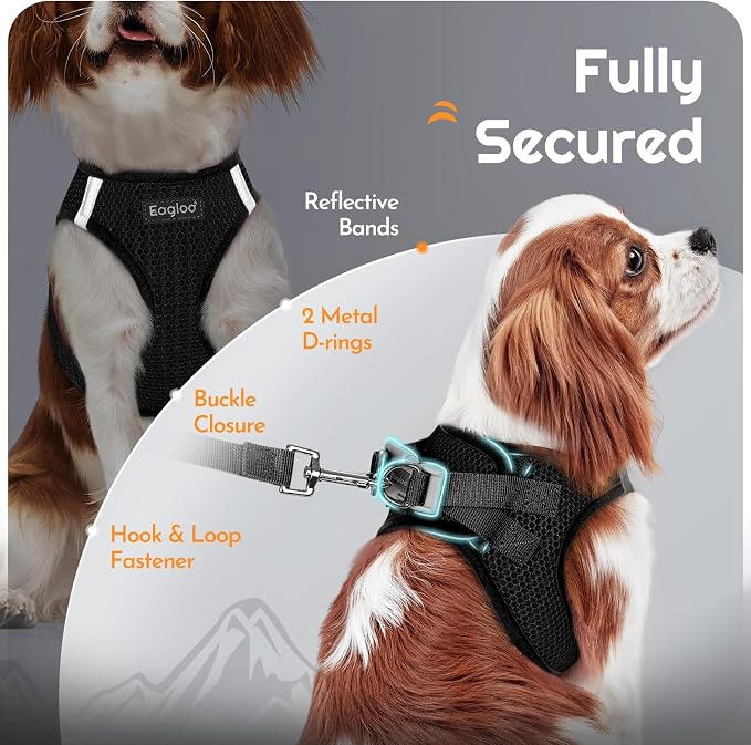 Eagloo Small Dog Harness and Leash Set, Step in Medium Small Puppy Pet Vest | Light, Soft, Breathable Air Mesh, Easy on and off with Hook & Loop, Reflective for Safe Walking, Black, M