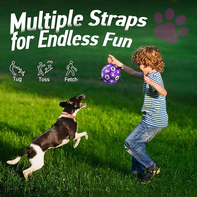 QDAN Dog Toys Soccer Ball with Straps - Dog Water Toy, Puppy Birthday Gifts, Durable Dog Balls for Small Medium Dogs （6 Inch） | 6 Inch Herding Ball for Small Dogs, Puppy Toy, Outdoor Toys Balls to Keep Them Busy, Dog Birthday Gift, 20-40 lbs Dogs