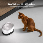 Whiskertons Wireless Cat Water Fountain, Cordless Battery Operated Pet Fountain, 3L/101oz EverMount Cat Fountain, Pet Water Fountains for Cats Indoor, Stainless Steel Tray, Easy to Clean, BPA-Free