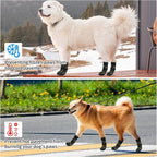 SCENEREAL Anti Slip Dog Socks to Prevent Licking Paws for Hardwood Floors | Double Sides Dog Shoes Boots & Paw Protectors for Hot/Cold Pavement, Dog Grippy Booties for Small Medium Large Senior Dogs