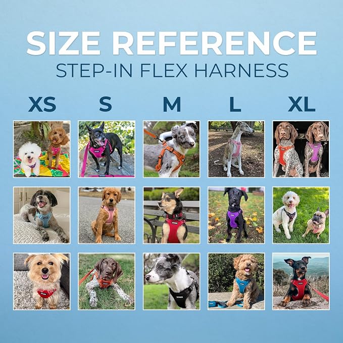 Best Pet Supplies Voyager Adjustable Step-in Flex Breathable Mesh Dog Harness for Small Medium Large Dogs Leash Set (Orange), XL