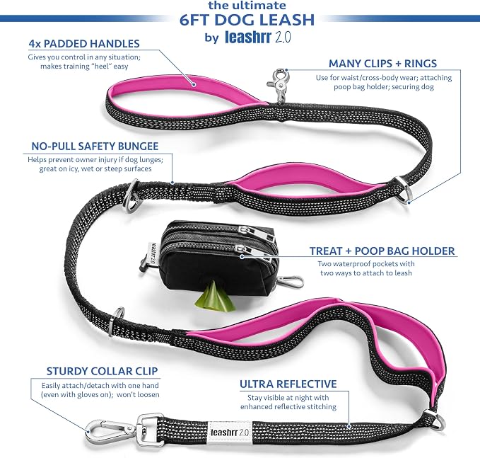 Heavy Duty Dog Leash for Large Dogs – 6FT Reflective Bungee with Padded Handles, Strong Carabiner Clip, No Pull Control for Medium & Large Breeds, Includes Poop Bag Holder & Treat Pouch (Royal Blue)