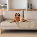 gogobunny Waterproof Blanket, Couch Covers for Dogs, Reversible Protector | 3X Stronger Leakproof, Scratch Proof Durable Furniture Protection, Stain Resistant, Washable, 30x70 Inch Dark Beige