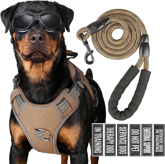 Service Dog Tactical Vest Harness and Leash Set Large Sized Dog Emotional Support- Tactical Dog Harness Training Collar with Name (Khaki, S)