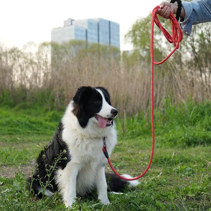 NTR Heavy Duty Large Dog Leash, 30FT Reflective with Swivel Lockable Hook and Comfortable Padded Handle, Puppy for Walking, Hunting, Camping, Backyard Small Medium Dogs, Red