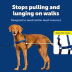 PetSafe Easy Walk No-Pull Dog Harness - Ultimate Harness to Help Stop Pulling - Pull-Free Walks - Take Control & Teach Better Leash Manners - Patented Martingale Loop Design - Royal Blue, Medium