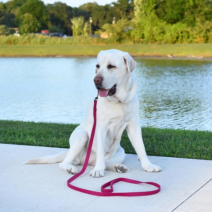 Dogline Biothane Waterproof Dog Leash Strong Coated Nylon Webbing with Black Hardware Odor-Proof Easy to Clean High Performance for Small or Large Dogs Made in USA 2 ft Lead, Magenta Pink