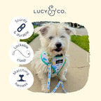Lucy & Co. Designer Dog Leash - Pet Accessories - Thick Dog Leash - Padded Handle for Comfort - Ballet Bows - 5 Foot (White & Pink Bows, Small)
