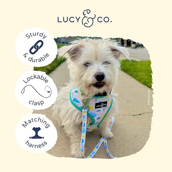 Lucy & Co. Designer Dog Leash - Pet Accessories - Thick Dog Leash - Padded Handle for Comfort - Ballet Bows - 5 Foot (White & Pink Bows, Large)