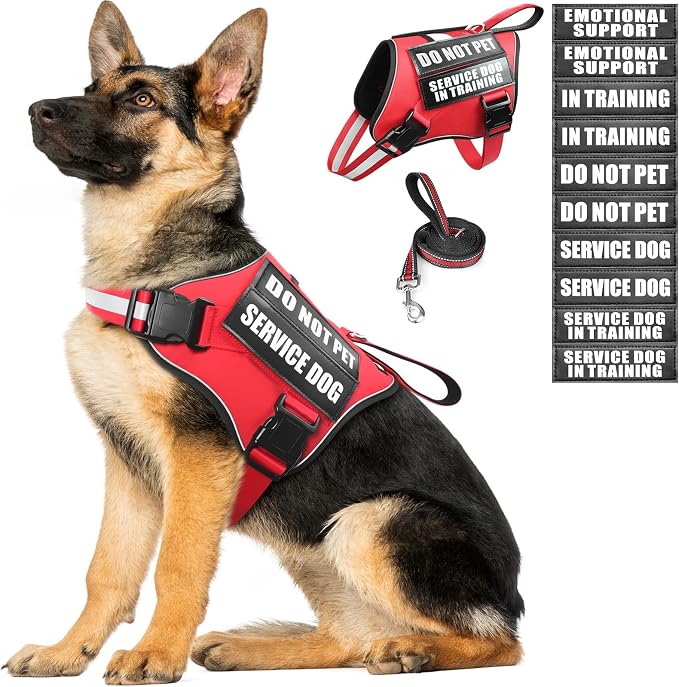 Service Dog Vest Harness and Leash Set+10 Patches,No Pull&Adjustable Reflective Dog Harness with Soft Padded Handle for Training/Everyday,Fit Small/Medium/Large/Extra-Large Dogs(Red XL) | No Pull&Adjustable Reflective Service Dog Harness Large Sized,Do...
