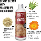 Pride and Groom DogDays Curly + Wavy Grooming Shampoo | Tearless, All-Natural Shampoo for No and Low Shedding Dogs | Moisturizing Formula for Soft, Shiny, & Healthy Fur – 16 oz