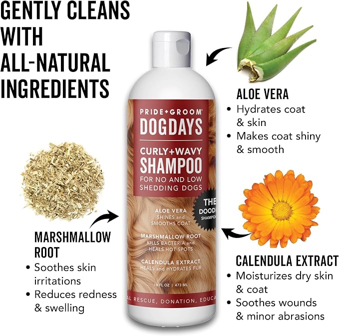 Pride and Groom DogDays Curly + Wavy Grooming Shampoo | Tearless, All-Natural Shampoo for No and Low Shedding Dogs | Moisturizing Formula for Soft, Shiny, & Healthy Fur – 16 oz