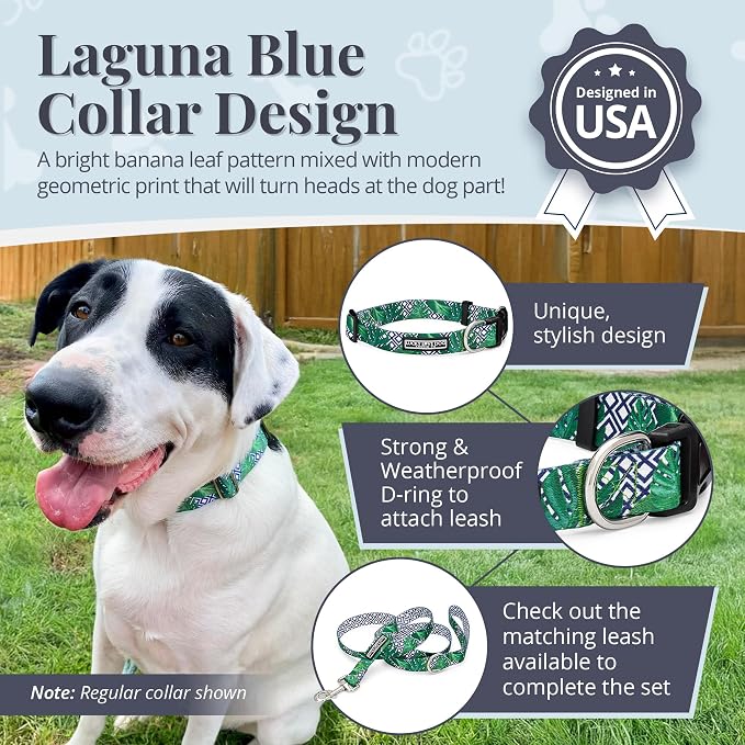 Lucky Love Dog Collar, Beautiful & Vivid Pattern Large Boy Dog Collars, Easy On & Off Clasp Accessory (Blue Laguna, L)