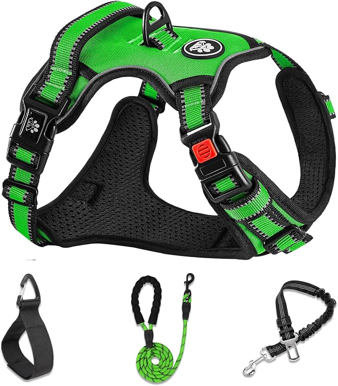 NESTROAD No Pull Dog Harness,Adjustable Oxford Dog Vest Harness with Leash,Reflective No-Choke Pet Harness with Easy Control Soft Handle for Small Dogs(Small,FluorescentGreen)