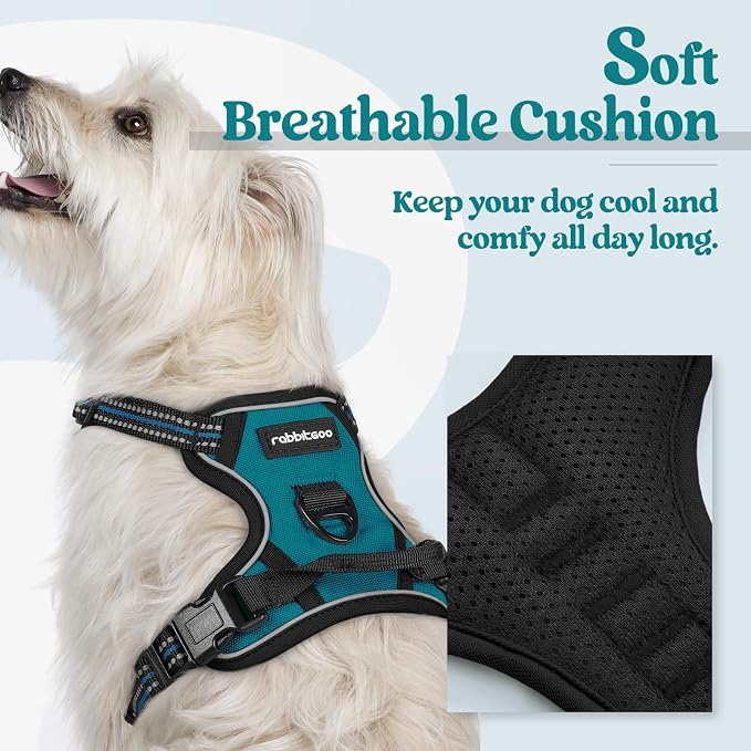 rabbitgoo Dog Harness, No Pull for Small Dogs with 2 Leash Clips, Pet Vest | No Choke, Adjustable, Breathable Padded, 2 Lead Rings, Reflective, Easy Control for Walking Training, XS, Blue Coral