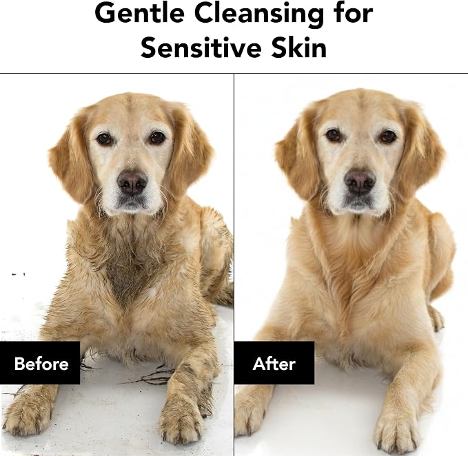 Pride and Groom The Sensitive One Dog Shampoo – All Natural Blend of Essential Oils & Gentle Ingredients for Puppies & Dogs with Sensitive Skin & Coats to Soothe and Regulate Skin & Follicles – 16oz