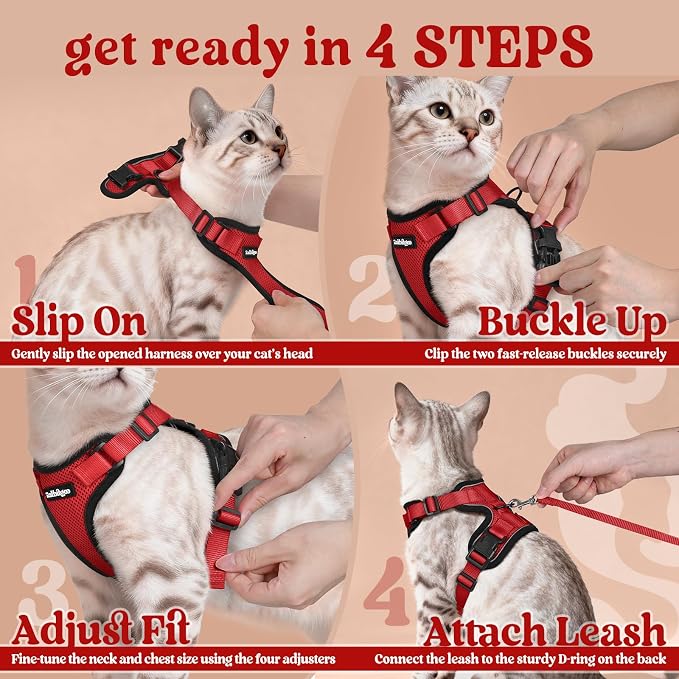 rabbitgoo Cat Harness and Leash Set, Escape Proof Vest, Red | Soft Breathable Mesh, Easy Adjustable Fit, Snap Buckles, Sturdy Clip, Reflective Strips, for Kittens & Small Cats Walks, Xxs