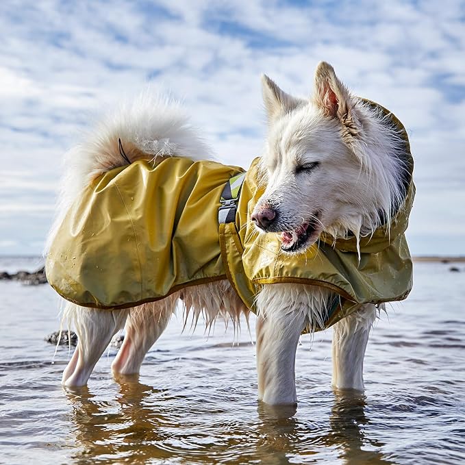 Hurtta Mudventure Reflective Dog Coat, Turmeric, 10 in