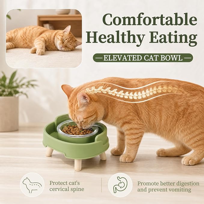 Ant Proof Cat Food Bowl, Elevated Cat Feeding Bowl, Green, 2pcs | Prevents Ants from Entering and Reduces Neck Stress, Non-Slip Elevated Cat Feeding Bowl