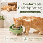 Ant Proof Cat Food Bowl, Elevated Cat Feeding Bowl, Green, 2pcs | Prevents Ants from Entering and Reduces Neck Stress, Non-Slip Elevated Cat Feeding Bowl
