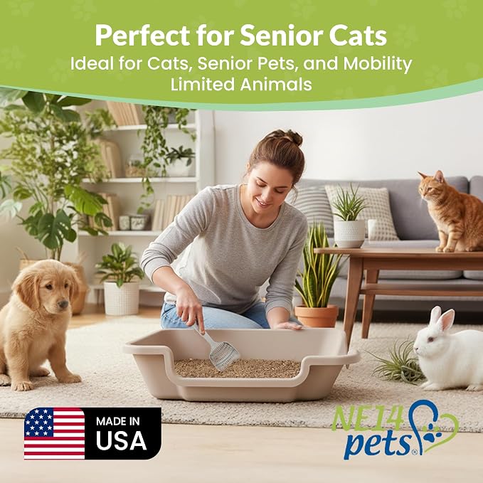 KittyGoHere 2.0 Easy-Entry Cat Litter Box – Large Open-Top Low Entrance Litter Pan with Higher Sides & Two Entrances – Ideal for Senior & Arthritic Cats – Made in USA (Grey) | Large Open - Top Low Entrance Litter Pan With Higher Sides & Two Entrances D...
