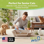 KittyGoHere 2.0 Easy Entry Cat Litter Box, 2 Pack Large Misty Gray | Large Open - Top Low Entrance Litter Pan With Higher Sides & Durable Long-handle Jumbo Scoop for Easy Cleaning, Made in USA